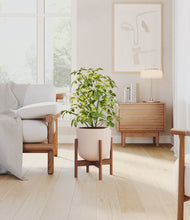 Load image into Gallery viewer, Sandy Pink stand:walnut