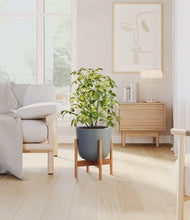 Load image into Gallery viewer, Iron Gray stand:bamboo