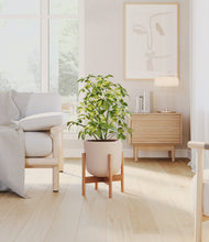 Load image into Gallery viewer, Sandy Pink stand:bamboo