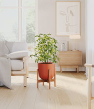 Load image into Gallery viewer, Earth Red stand:bamboo