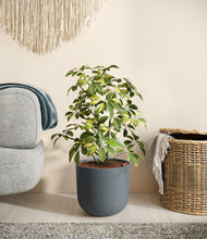 Load image into Gallery viewer, Iron Gray