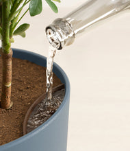 Load image into Gallery viewer, Iron Gray stand:all