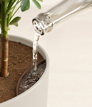 Load image into Gallery viewer, Natural Bamboo stand:all