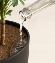 Load image into Gallery viewer, Stone Black stand:all