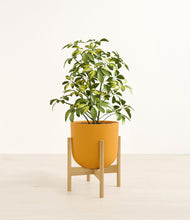 Load image into Gallery viewer, Sunset Orange stand:bamboo