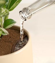 Load image into Gallery viewer, Almond Green stand:all