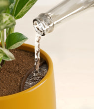 Load image into Gallery viewer, Mustard stand:all