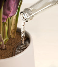 Load image into Gallery viewer, Eternal Gray stand:all