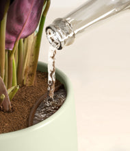 Load image into Gallery viewer, Turquoise stand:all