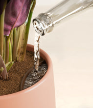 Load image into Gallery viewer, Calm Rose stand:all