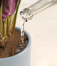 Load image into Gallery viewer, Misty Blue stand:all