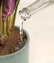 Load image into Gallery viewer, Reactive Aqua stand:all