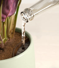 Load image into Gallery viewer, Earthy stand:all