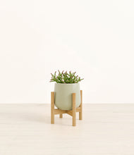 Load image into Gallery viewer, Turquoise stand:bamboo