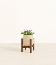 Load image into Gallery viewer, Almond Green stand:walnut