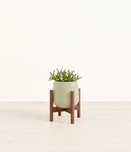 Load image into Gallery viewer, Turquoise stand:walnut