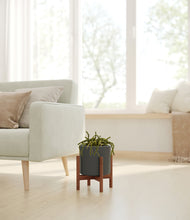 Load image into Gallery viewer, Dark Olive stand:walnut