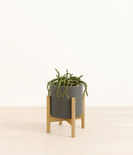 Load image into Gallery viewer, Dark Olive stand:bamboo