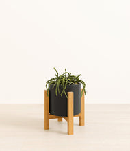 Load image into Gallery viewer, Black stand:light