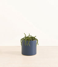 Load image into Gallery viewer, Deep Navy*****Profile