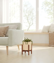 Load image into Gallery viewer, Cream stand:walnut