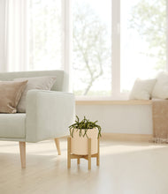 Load image into Gallery viewer, Cream stand:bamboo