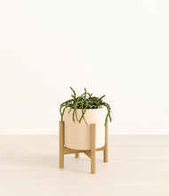 Load image into Gallery viewer, Cream stand:bamboo