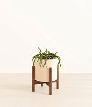 Load image into Gallery viewer, Cream stand:walnut