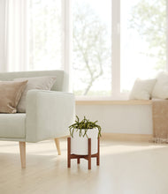 Load image into Gallery viewer, White stand:walnut