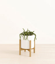 Load image into Gallery viewer, White stand:bamboo