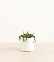 Load image into Gallery viewer, White*****Profile