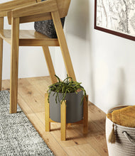 Load image into Gallery viewer, Dark Olive stand:light