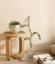 Load image into Gallery viewer, Shiny EggWhite