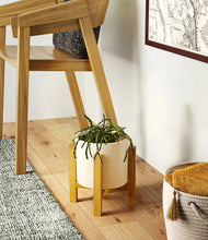 Load image into Gallery viewer, Cream stand:light