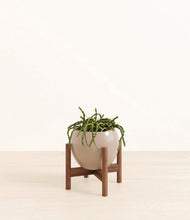 Load image into Gallery viewer, Desert Brown stand:walnut