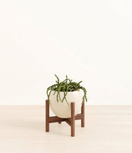 Load image into Gallery viewer, Shiny EggWhite stand:walnut