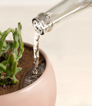 Load image into Gallery viewer, Calm Rose stand:all