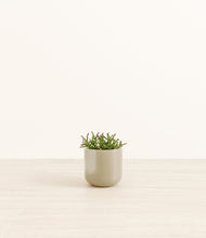 Load image into Gallery viewer, Sage Green*****Profile