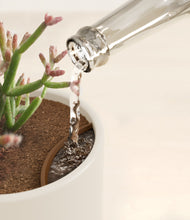 Load image into Gallery viewer, Coral Elegance