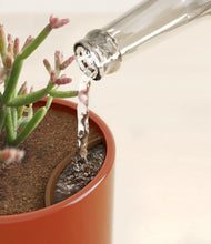 Load image into Gallery viewer, Glossy Red stand:all