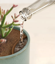 Load image into Gallery viewer, Reactive Aqua stand:all