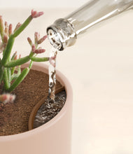 Load image into Gallery viewer, Peaches and Cream