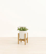 Load image into Gallery viewer, Cotton White stand:bamboo