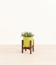 Load image into Gallery viewer, Key Lime Yellow stand:walnut