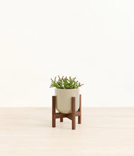 Load image into Gallery viewer, Sage Green stand:walnut