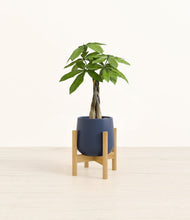 Load image into Gallery viewer, Deep Navy stand:bamboo