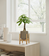 Load image into Gallery viewer, Olive stand:bamboo