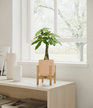 Load image into Gallery viewer, Gentle Pink stand:bamboo