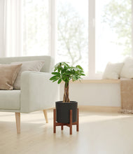 Load image into Gallery viewer, Black stand:walnut