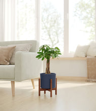 Load image into Gallery viewer, Deep Navy stand:walnut